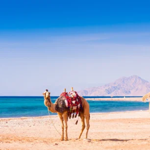 Hurghada