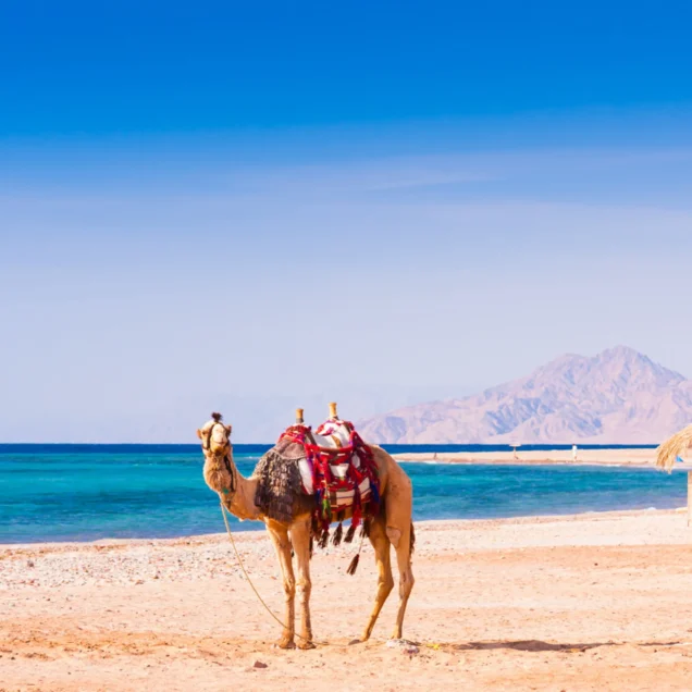 Hurghada